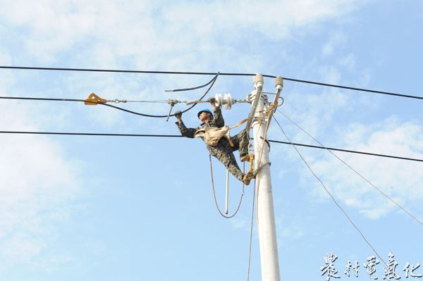 该公司技术人员正在架设线路，解决农村电网低电压、“卡脖子”等用电难题。（袁鸿梅）.jpg