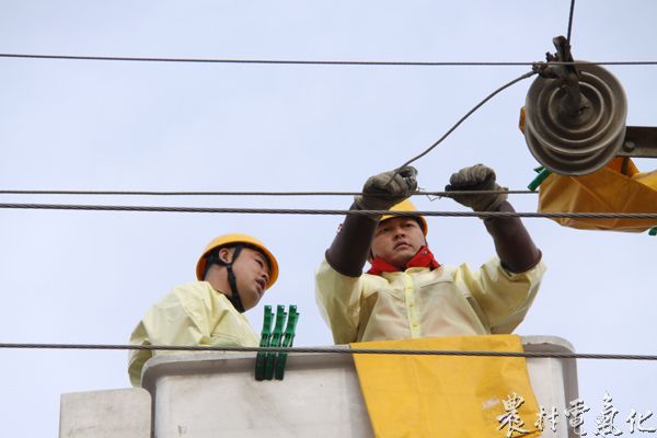 中国农村电气化网 - 乌后旗供电分局实施带电作