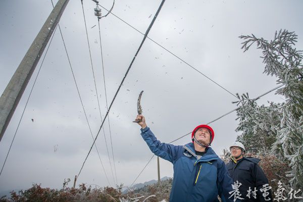 3、1月23日，余庆供电局职工尝试用树枝敲下通信光纤上的覆冰。（王仁磊 摄）.jpg