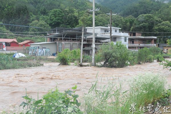 6月3日，在长汀县河田镇径背村，电杆背水淹，容易造成断杆。（袁鸿没13950896516）.JPG