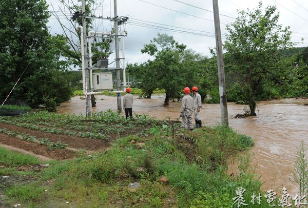 6月3日，在长汀县河田镇径背村，变压器被洪水淹至一半，长汀供电公司员工前往巡视，检查。（袁鸿梅13950896516）.JPG