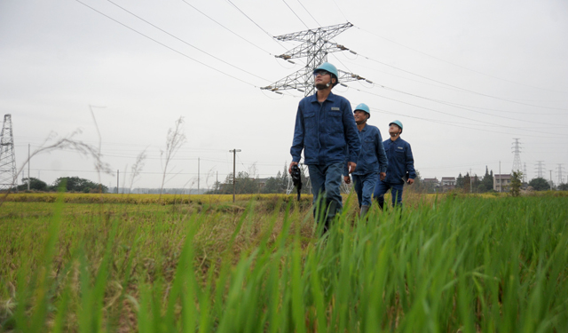 农村电气化网讯：10月17日，和县供电公司职工对过境的电力线路进行巡视检查。