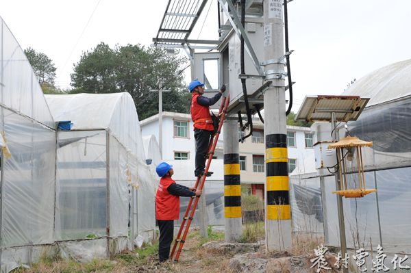 11月6日，福建长汀供电公司共产党员服务队检查南坑村变压器，提高供电可靠性。（袁鸿梅13950896516）.JPG