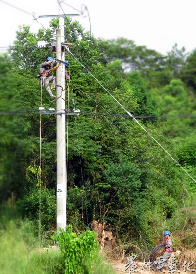 7月30日，福建长汀供电公司组织人员对10千伏洋哩支线进行改造，确保居民度夏用电可靠。（袁鸿梅、戴金水13950896516）.JPG