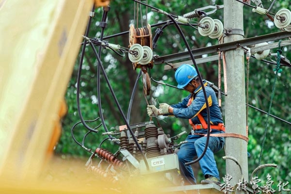 国网安徽省和县供电公司员工在历阳变10千伏城北6236线#141杆上更换断路器。.JPG