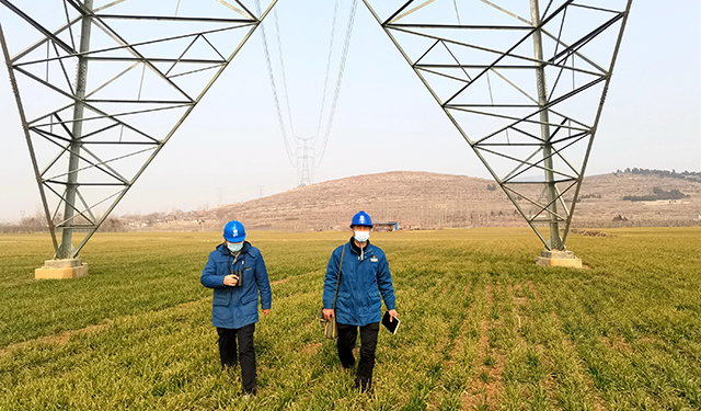 农村电气化信息网讯：（于绍迎）2月7日，山东枣庄供电公司运维人员正在巡视500千伏湖衡双回线路。