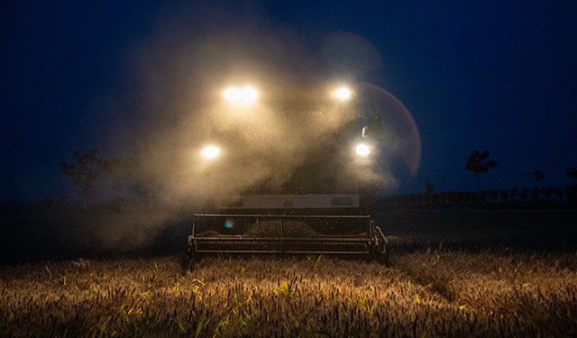 今年滑县冬小麦面积181.2万亩，但近期遭遇持续阴雨天气，给小麦收割带来影响。为保障粮食颗粒归仓，群众纷纷与阴雨天“赛跑”，在白马坡万亩良田内多台联合收割机穿梭在麦田间，昼夜展开小麦抢收。